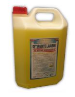 Detergente Lavamani Igienizzante 5LT